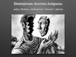 Stebėjimas išoriniu žvilgsniu
arba, tiksliau, stebėjimas “kliento” akimis
 