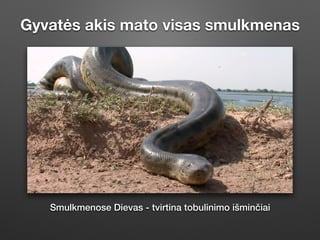Gyvatės akis mato visas smulkmenas
Smulkmenose Dievas - tvirtina tobulinimo išminčiai
 