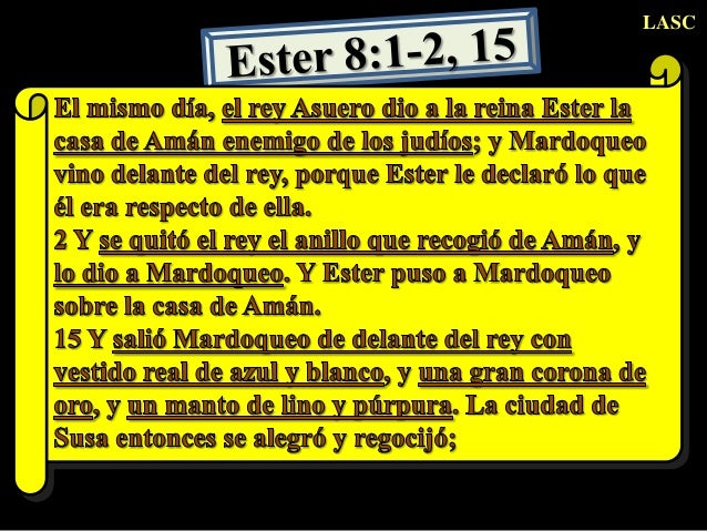 amsn y mardoqueo amsn y mardoqueo