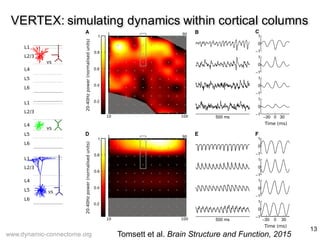 13
VERTEX: simulating dynamics within cortical columns
www.dynamic-connectome.org Tomsett et al. Brain Structure and Funct...
