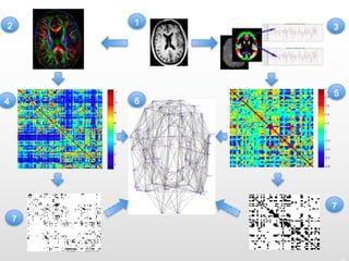 18
Archetypes of complex networks
Kaiser (2011) Neuroimage
Note: real complex networks show a combination of these types!
...