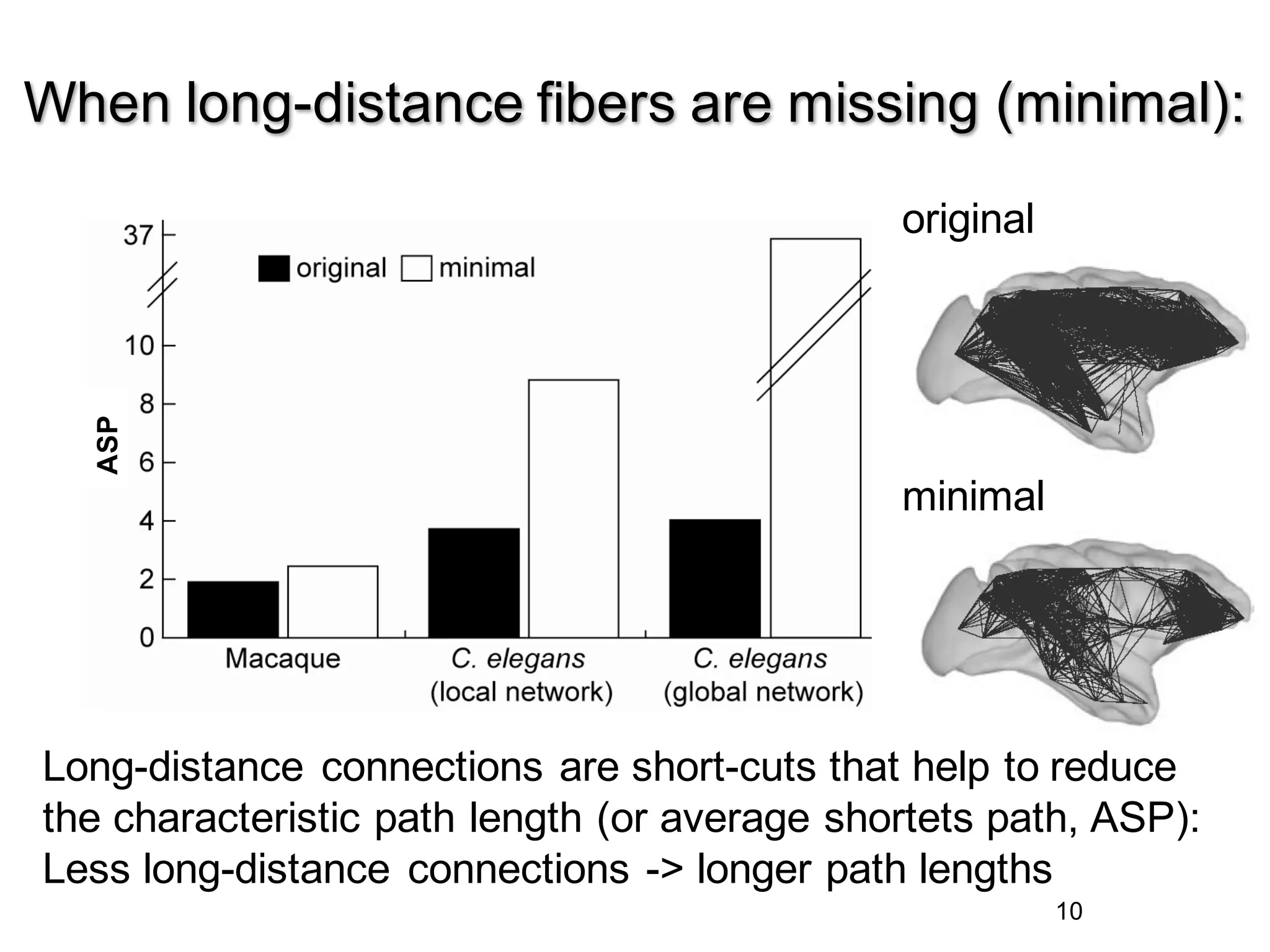 10
When long-distance fibers are missing (minimal):
original
minimal
ASP
Long-distance connections are short-cuts that help to reduce
the characteristic path length (or average shortets path, ASP):
Less long-distance connections -> longer path lengths
 