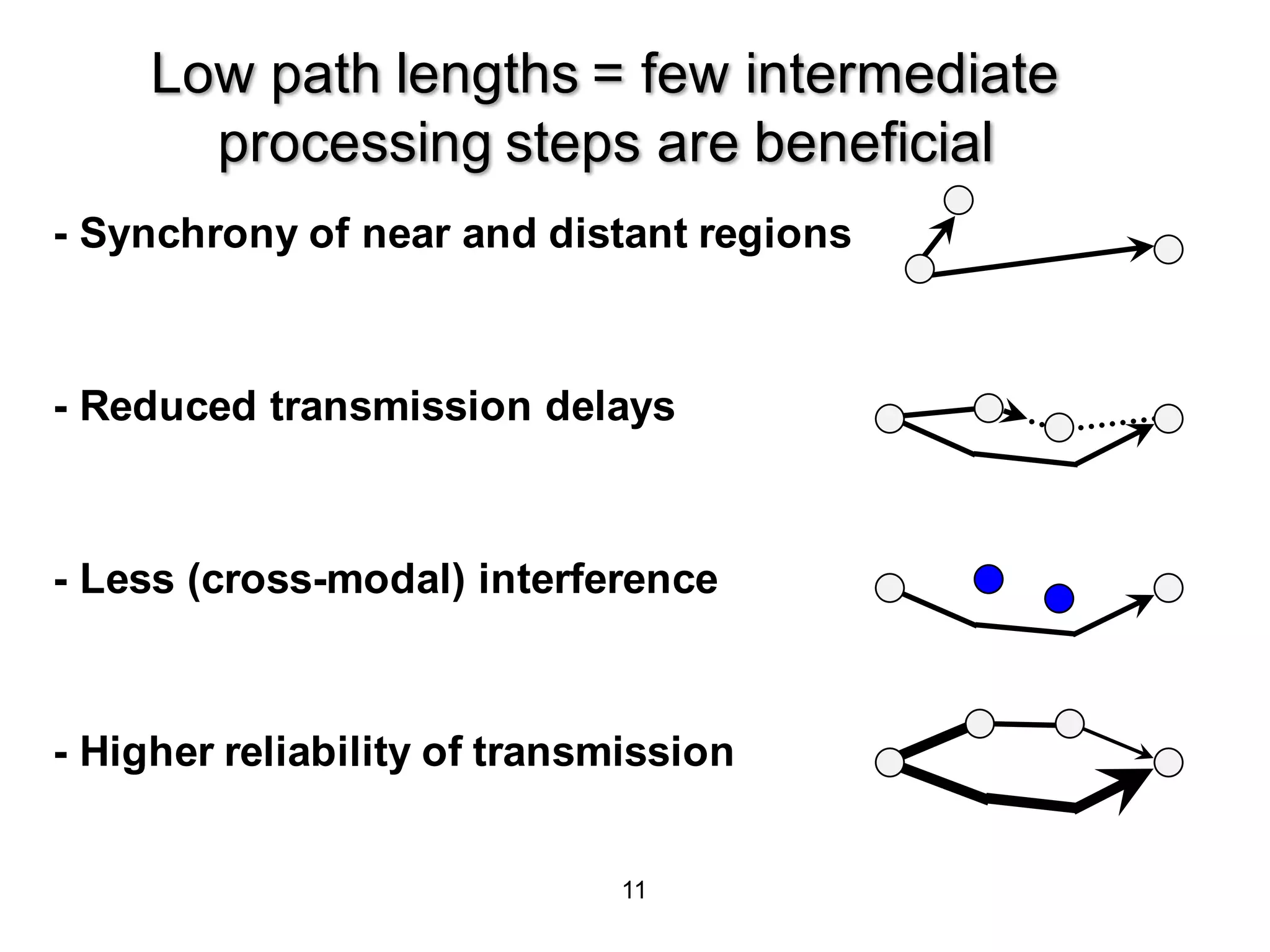 11
Low path lengths = few intermediate
processing steps are beneficial
- Synchrony of near and distant regions
- Reduced transmission delays
- Less (cross-modal) interference
- Higher reliability of transmission
 
