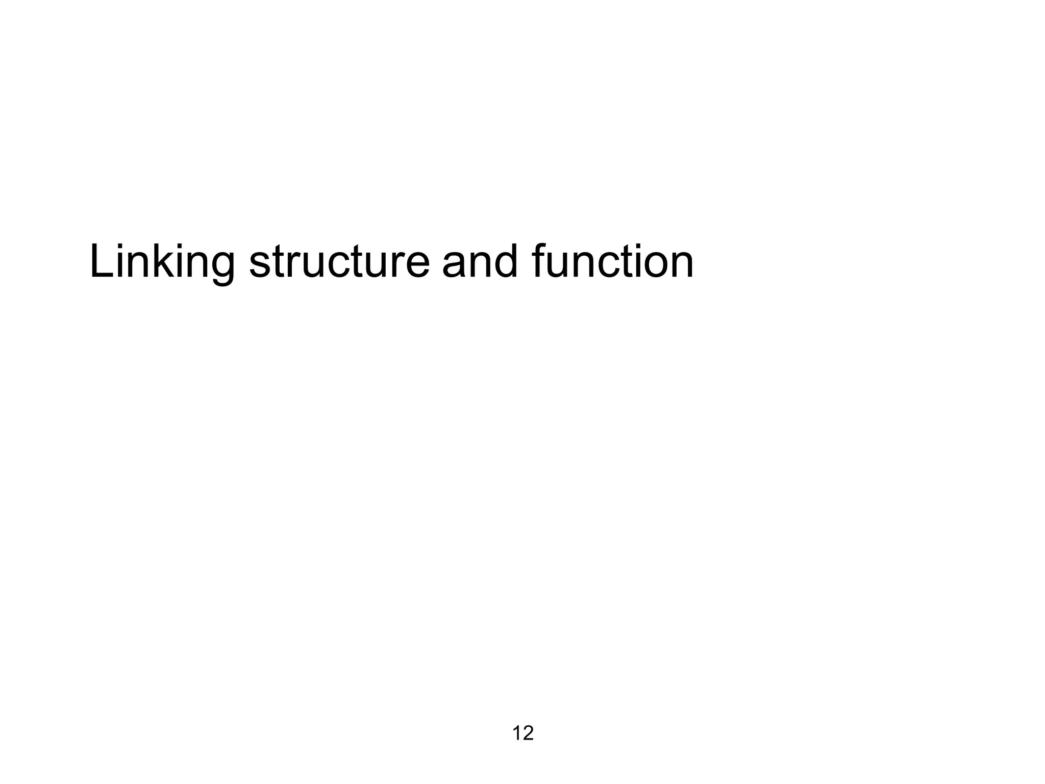 12
Linking structure and function
 