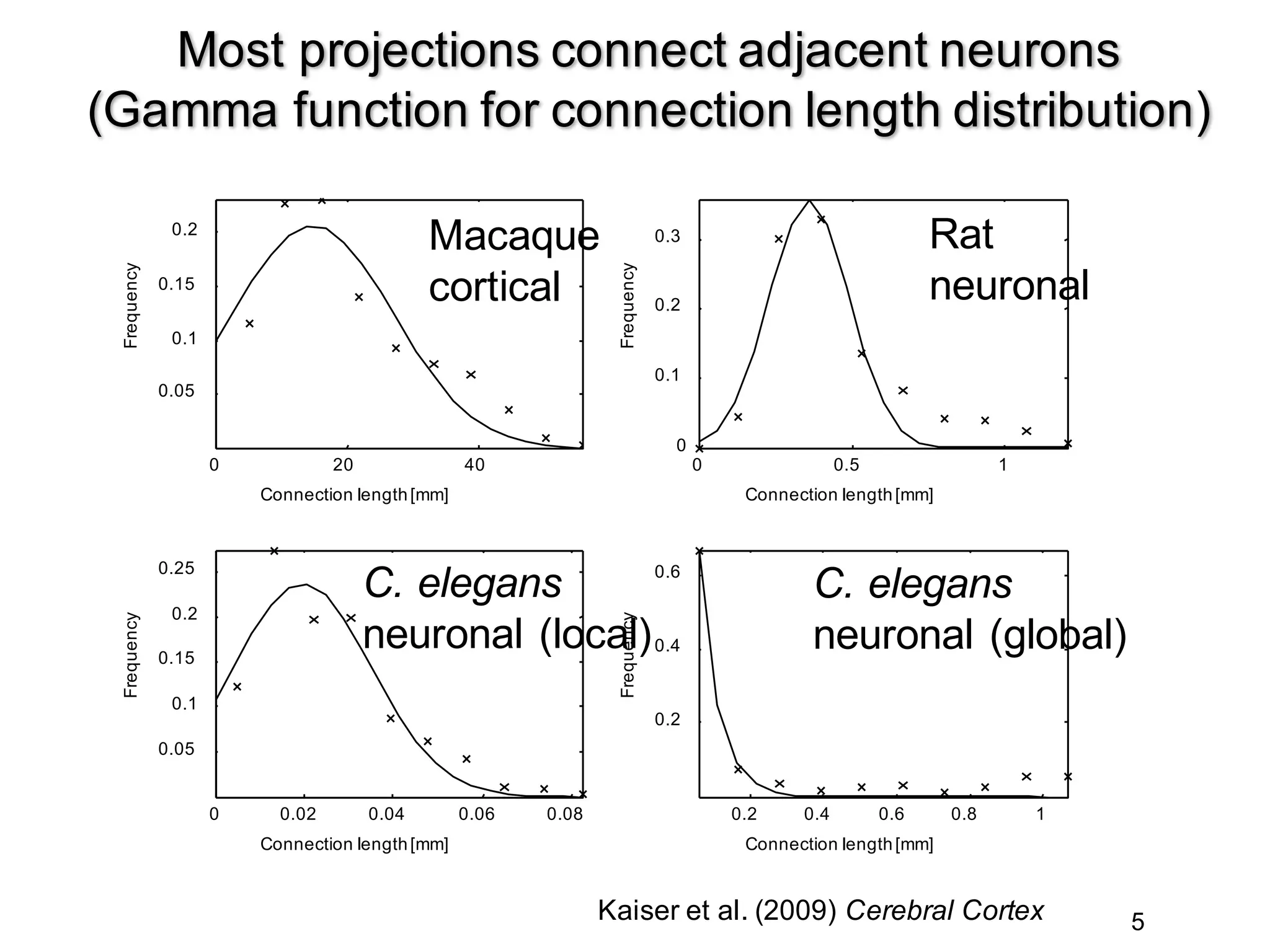 5
Most projections connect adjacent neurons
(Gamma function for connection length distribution)
0 20 40
0.05
0.1
0.15
0.2
Connection length[mm]
Frequency
0 0.5 1
0
0.1
0.2
0.3
Connection length[mm]
Frequency
0 0.02 0.04 0.06 0.08
0.05
0.1
0.15
0.2
0.25
Connection length[mm]
Frequency
0.2 0.4 0.6 0.8 1
0.2
0.4
0.6
Connection length[mm]
Frequency
Macaque
cortical
Rat
neuronal
C. elegans
neuronal (local)
C. elegans
neuronal (global)
Kaiser et al. (2009) Cerebral Cortex
 