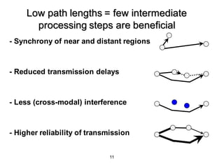 11
Low path lengths = few intermediate
processing steps are beneficial
- Synchrony of near and distant regions
- Reduced t...