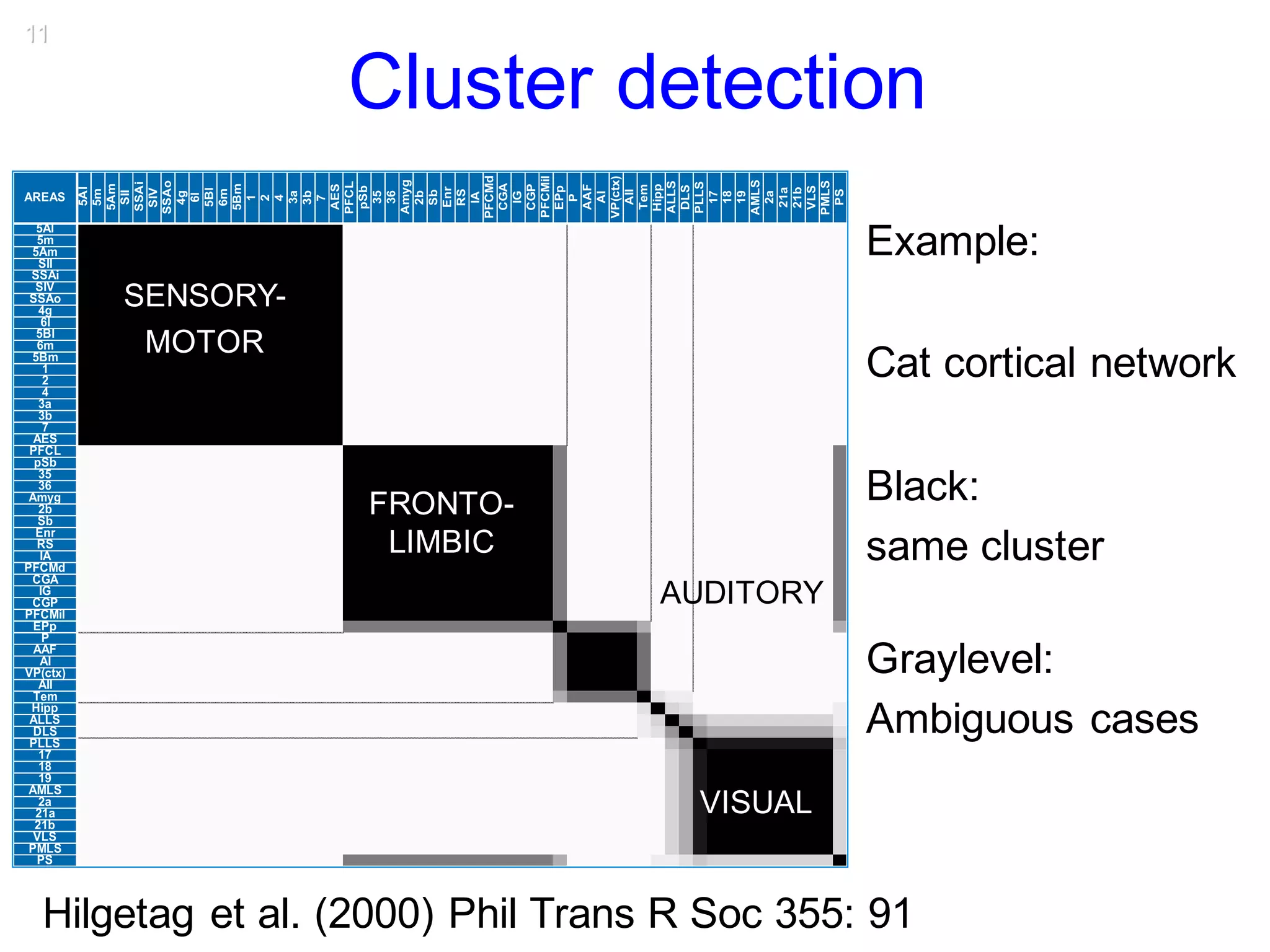 11
Cluster detection
Example:
Cat cortical network
Black:
same cluster
Graylevel:
Ambiguous cases
Hilgetag et al. (2000) Phil Trans R Soc 355: 91
AREAS
5Al
5m
5Am
SII
SSAi
SIV
SSAo
4g
6l
5Bl
6m
5Bm
1
2
4
3a
3b
7
AES
PFCL
pSb
35
36
Amyg
2b
Sb
Enr
RS
IA
PFCMd
CGA
IG
CGP
PFCMil
EPp
P
AAF
AI
VP(ctx)
AII
Tem
Hipp
ALLS
DLS
PLLS
17
18
19
AMLS
2a
21a
21b
VLS
PMLS
PS
5Al
5m
5Am
SII
SSAi
SIV
SSAo
4g
6l
5Bl
6m
5Bm
1
2
4
3a
3b
7
AES
PFCL
pSb
35
36
Amyg
2b
Sb
Enr
RS
IA
PFCMd
CGA
IG
CGP
PFCMil
EPp
P
AAF
AI
VP(ctx)
AII
Tem
Hipp
ALLS
DLS
PLLS
17
18
19
AMLS
2a
21a
21b
VLS
PMLS
PS
VISUAL
AUDITORY
FRONTO-
LIMBIC
SENSORY-
MOTOR
 