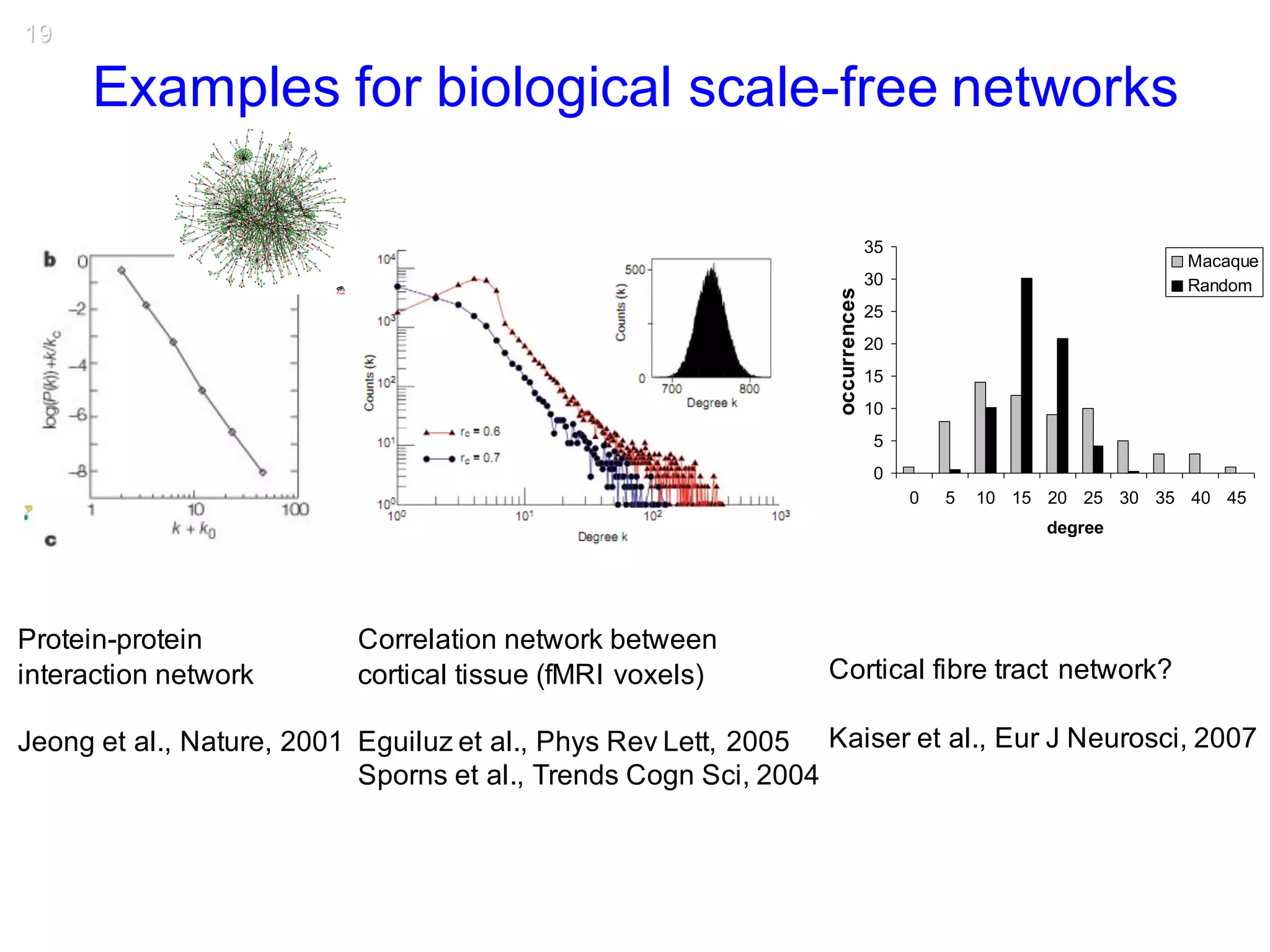 19
Examples for biological scale-free networks
Protein-protein
interaction network
Jeong et al., Nature, 2001
Correlation network between
cortical tissue (fMRI voxels)
Eguiluz et al., Phys Rev Lett, 2005
Sporns et al., Trends Cogn Sci, 2004
Cortical fibre tract network?
Kaiser et al., Eur J Neurosci, 2007
0
5
10
15
20
25
30
35
0 5 10 15 20 25 30 35 40 45
degree
cumulatedoccurences
Macaque
Random
occurrences
 