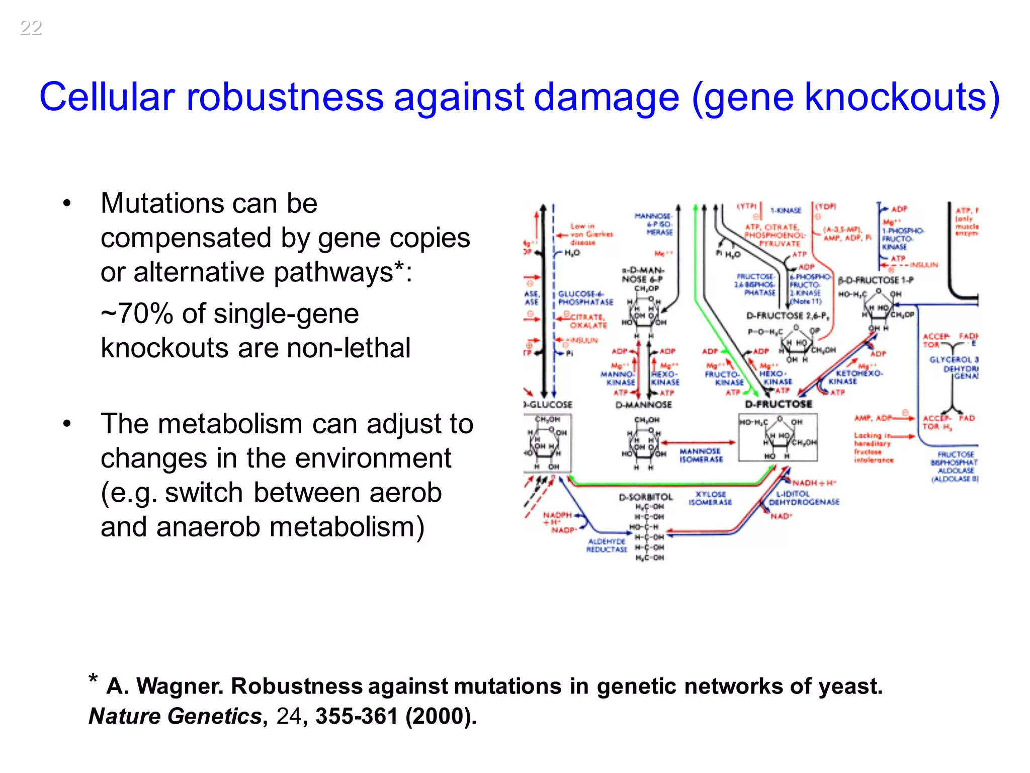 • Mutations can be
compensated by gene copies
or alternative pathways*:
~70% of single-gene
knockouts are non-lethal
• The metabolism can adjust to
changes in the environment
(e.g. switch between aerob
and anaerob metabolism)
* A. Wagner. Robustness against mutations in genetic networks of yeast.
Nature Genetics, 24, 355-361 (2000).
Cellular robustness against damage (gene knockouts)
22
 