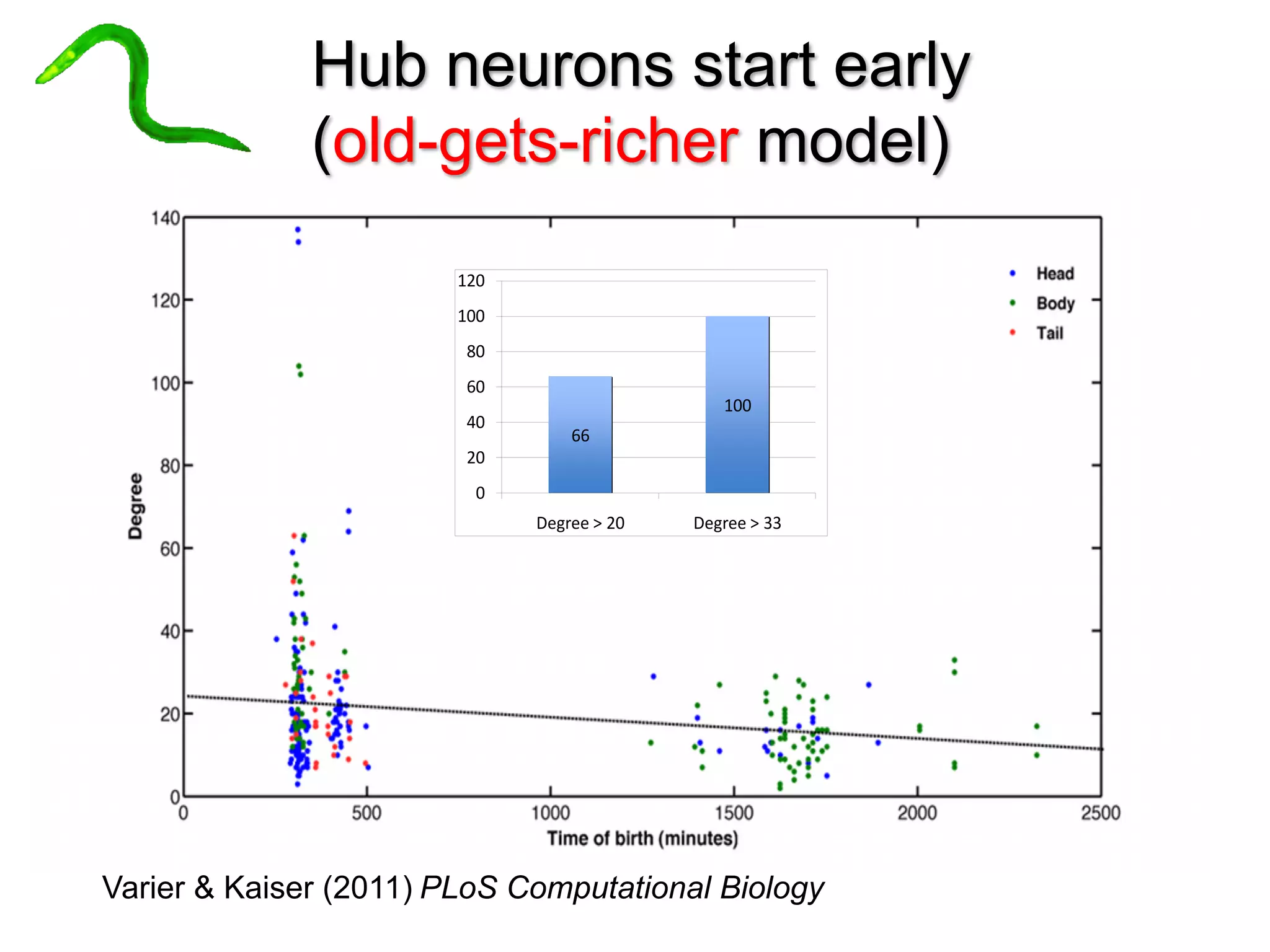 66
100
0
20
40
60
80
100
120
Degree	>	20 Degree	>	33
Hub neurons start early
(old-gets-richer model)
Varier & Kaiser (2011) PLoS Computational Biology
 