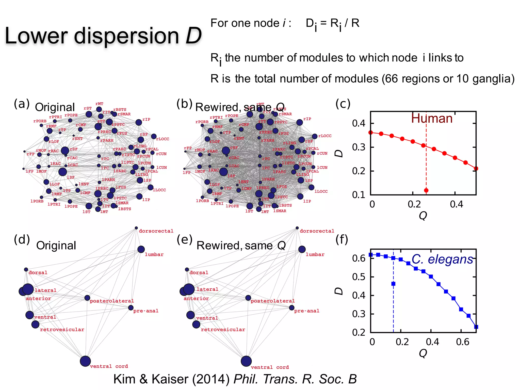 32
Lower dispersion D
Kim & Kaiser (2014) Phil. Trans. R. Soc. B
For one node i : Di = Ri / R
Ri the number of modules to which node i links to
R is the total number of modules (66 regions or 10 ganglia)
(a) (b) (c)
(d) (e) (f)
0.1
0.2
0.3
0.4
0 0.2 0.4
D
Q
0.2
0.3
0.4
0.5
0.6
0 0.2 0.4 0.6D
Q
Human
C. elegans
Original Rewired, same Q
Original Rewired, same Q
 