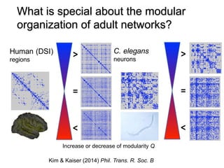 29
What is special about the modular
organization of adult networks?
Increase or decrease of modularity Q
Kim & Kaiser (2014) Phil. Trans. R. Soc. B
Human (DSI)
regions
C. elegans
neurons
 