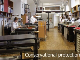 @maxkaiser
             Conservational protection
 