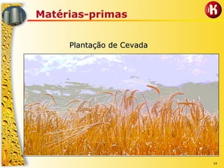 14
Matérias-primas
Plantação de CevadaPlantação de Cevada
 