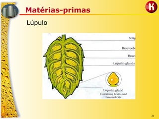 21
Matérias-primas
Lúpulo
 