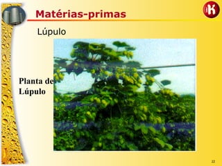 22
Matérias-primas
Lúpulo
Planta de
Lúpulo
 