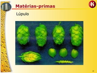 23
Matérias-primas
Lúpulo
 