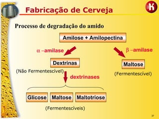 37
Fabricação de Cerveja
Processo de degradação do amido
Amilose + Amilopectina
Glicose Maltose Maltotriose
dextrinases
(Fermentescíveis)
α −amilase
Dextrinas
(Não Fermentescível)
β −amilase
Maltose
(Fermentescível)
 