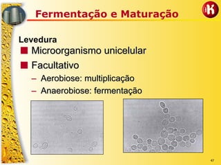 47
Fermentação e Maturação
Levedura
■■ Microorganismo unicelularMicroorganismo unicelular
■■ FacultativoFacultativo
–– Aerobiose: multiplicaçãoAerobiose: multiplicação
–– Anaerobiose: fermentaçãoAnaerobiose: fermentação
 