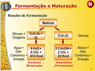 49
Fermentação e Maturação
Reações de Fermentação
Maltose
C6H12O6 +
O2
Glicose +
Oxigênio
C6H12O6 Glicose
Água +
Gás
Carbônico +
Energia
Álcool +
Gás
Carbônico +
Energia
6 H2O+
6 CO2 +
674 Kcal
2 C2H5OH+
2 CO2 +
22 Kcal
Aerobiose
(Respiração)
Anaerobiose
(Fermentação)
 