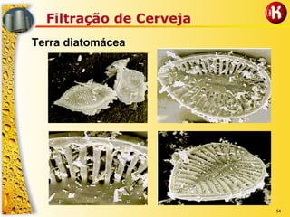 54
Filtração de Cerveja
Terra diatomácea
 