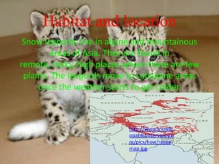 Habitat and location
Snow leapords live in alpine and mountainous
areas of Asia. They are found in
remote, rocky, high places where there are few
plants. The leapords move to subalpine areas
once the weather starts to get colder.
http://www.snowle
opardconservancy.o
rg/pics/how/range
map.jpg
 