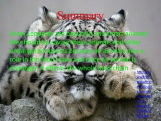 Summary
Snow Leopards are beautiful and smart animals.
We should be saving these animals and other
endangered species because all animals play a
role in the food chain and once an animal is
endanger, it effects the whole food chain. http://w
ww.free-
picture.n
et/album
s/animal
s/lepard/
snow-
leopard_
1332024
885.jpg
 
