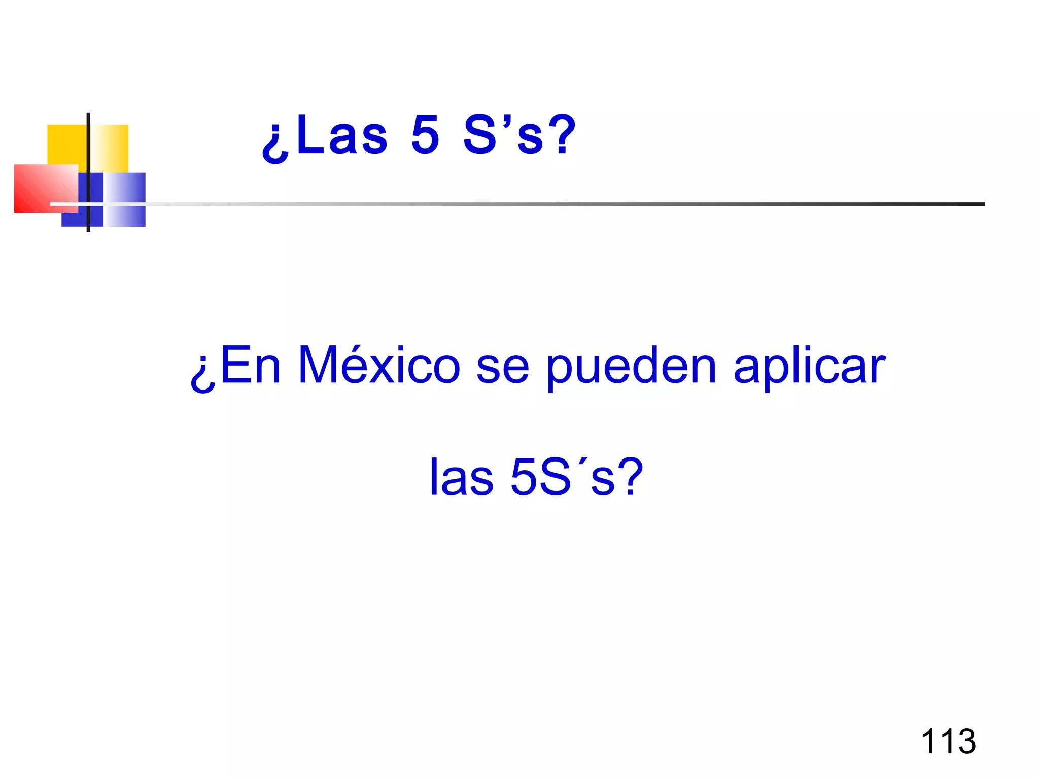 113
¿En México se pueden aplicar
las 5S´s?
¿Las 5 S’s?
 