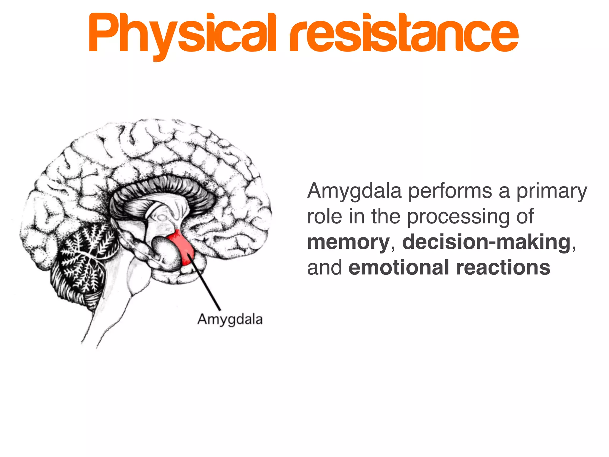 Physical resistance 
Amygdala performs a primary 
role in the processing of 
memory, decision-making, 
and emotional reactions 
 