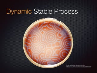Dynamic Stable Process
Photo by Stephen Morris. CC-BY-2.0
https://www.ﬂickr.com/photos/nonlin/4297013382
 