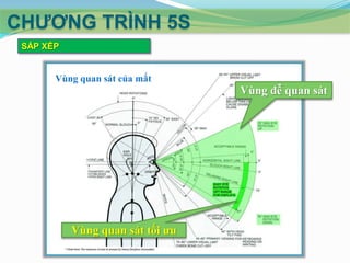 CHƢƠNG TRÌNH 5S
SẮP XẾP

Vùng quan sát của mắt

Vùng dễ quan sát

Vùng quan sát tối ưu

 