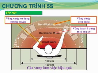 CHƢƠNG TRÌNH 5S
SẮP XẾP

Vùng vàng: sử dụng
thường xuyên

Vùng đồng:
ít sử dụng
Vùng bạc: sử dụng
theo chu kỳ

Các vùng làm việc hiệu quả

 
