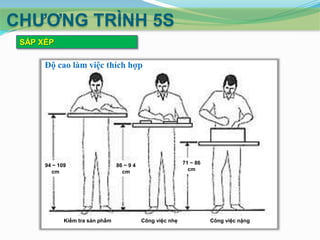 CHƢƠNG TRÌNH 5S
SẮP XẾP

Độ cao làm việc thích hợp

94 ~ 109
cm

Kiểm tra sản phẩm

71 ~ 86
cm

86 ~ 9 4
cm

Công việc nhẹ

Công việc nặng

 