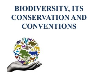 BIODIVERSITY, ITS
CONSERVATION AND
CONVENTIONS
 