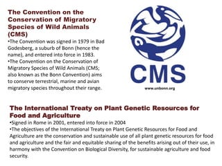 The Convention on the
Conservation of Migratory
Species of Wild Animals
(CMS)
•The Convention was signed in 1979 in Bad
Godesberg, a suburb of Bonn (hence the
name), and entered into force in 1983.
•The Convention on the Conservation of
Migratory Species of Wild Animals (CMS;
also known as the Bonn Convention) aims
to conserve terrestrial, marine and avian
migratory species throughout their range.
The International Treaty on Plant Genetic Resources for
Food and Agriculture
•Signed in Rome in 2001, entered into force in 2004
•The objectives of the International Treaty on Plant Genetic Resources for Food and
Agriculture are the conservation and sustainable use of all plant genetic resources for food
and agriculture and the fair and equitable sharing of the benefits arising out of their use, in
harmony with the Convention on Biological Diversity, for sustainable agriculture and food
security.
www.unbonn.org
 