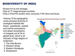 BIODIVERSITY OF INDIA
•Known for its rich heritage
•One of 17 mega-diverse countries
•Only 2.4%of the world's area, accounts 7-8% flora and fauna
•Having 10 bio geographic
zones possess diversity of
ecological habitats like
forest, grasslands, coastal
and marine ecosystems
and desert ecosystems.
•4 hotspots out of 34 at
global level, which is an
indicator of high degree of
endemism.
1. The Indo Burma
2. Western Ghats
3. Eastern Himalayas
4. Sunderland mapsofindia.com
 