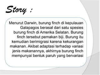 Kajian evolusi menurut darwin