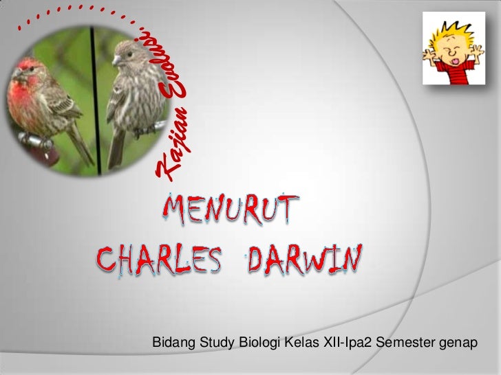 86+ Gambar Variasi Burung Finch Paling Keren 86+ Gambar Variasi Burung Finch Paling Keren