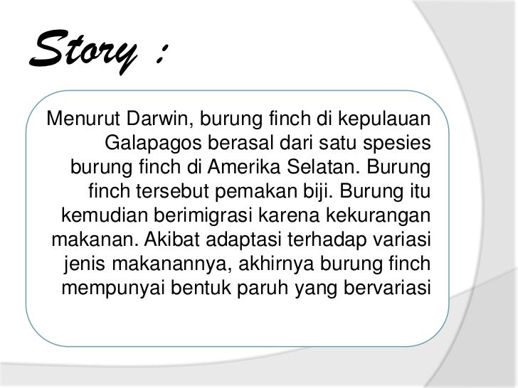 86+ Gambar Variasi Burung Finch Paling Keren 86+ Gambar Variasi Burung Finch Paling Keren