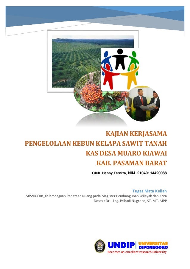 Kajian Kerjasama Pengelolaan Kebun Kelapa Sawit Di Kab Pasaman Barat