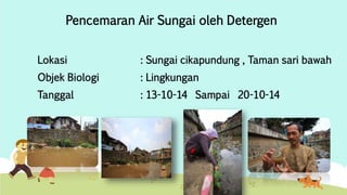 Pencemaran Air Sungai oleh Detergen 
Lokasi : Sungai cikapundung , Taman sari bawah 
Objek Biologi : Lingkungan 
Tanggal : 13-10-14 Sampai 20-10-14 
 