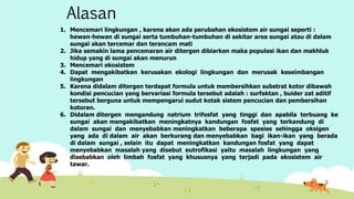 Alasan 
1. Mencemari lingkungan , karena akan ada perubahan ekosistem air sungai seperti : 
hewan-hewan di sungai serta tumbuhan-tumbuhan di sekitar area sungai atau di dalam 
sungai akan tercemar dan terancam mati 
2. Jika semakin lama pencemaran air ditergen dibiarkan maka populasi ikan dan makhluk 
hidup yang di sungai akan menurun 
3. Mencemari ekosistem 
4. Dapat mengakibatkan kerusakan ekologi lingkungan dan merusak keseimbangan 
lingkungan 
5. Karena didalam ditergen terdapat formula untuk membersihkan substrat kotor dibawah 
kondisi pencucian yang bervariasi formula tersebut adalah : surfaktan , buider zat aditif 
tersebut berguna untuk mempengarui sudut kotak sistem pencucian dan pembersihan 
kotoran. 
6. Didalam ditergen mengandung natrium trifosfat yang tinggi dan apabila terbuang ke 
sungai akan mengakibatkan meningkatnya kandungan fosfat yang terkandung di 
dalam sungai dan menyebabkan meningkatkan beberapa spesies sehingga oksigen 
yang ada di dalam air akan berkurang dan menyebabkan bagi ikan-ikan yang berada 
di dalam sungai , selain itu dapat meningkatkan kandungan fosfat yang dapat 
menyebabkan masalah yang disebut eutrofikasi yaitu masalah lingkungan yang 
disebabkan oleh limbah fosfat yang khususnya yang terjadi pada ekosistem air 
tawar. 
 