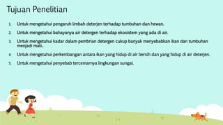 Tujuan Penelitian 
1. Untuk mengetahui pengaruh limbah deterjen terhadap tumbuhan dan hewan. 
2. Untuk mengetahui bahayanya air detergen terhadap ekosistem yang ada di air. 
3. Untuk mengetahui kadar dalam pembrian detergen cukup banyak menyebabkan ikan dan tumbuhan 
menjadi mati.. 
4. Untuk mengetahui perkembangan antara ikan yang hidup di air bersih dan yang hidup di air deterjen. 
5. Untuk mengetahui penyebab tercemarnya lingkungan sungai. 
 