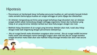 Hipotesis 
 Pencemaran air berdampak besar terhadap penurunan kualitas air, jadi semakin banyak limbah 
maka semakin berkurngnya kualitas air sungai sehingga air perlu dijaga dan dilestarikan. 
 Air deterjen mengandung zat kimia yang sangat berbahaya bagi ekosistem dan air deterjen 
sangat sedikit sekali menandung oksigen sehingga organisme, hewan dan tumbuhan yang 
hidup di air yang tercemar deterjen lambat laun akan kekurangan oksigen dan mati. 
 Makhluk hidup/ekosistem di air sungai yang tercemar deterjen akan mati, rusak atau hidup 
dengan tidak baik tergantung dengan pencemaran deterjennya. 
 Jika air sungai bersih maka ekosistem sungaipun akan normal. Jika air sungai sedikit tercemar 
maka masih ada kehidupan namun berangsur-angsur akan mati dan jika air sungai tersebut 
sangat tercemar maka tidak akan ada makhluk hidup disungai tersebut dan akan mati secara 
masal. 
 