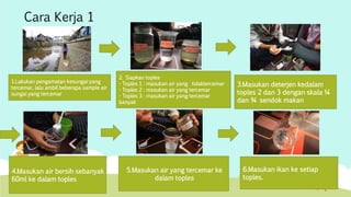 Cara Kerja 1 
1.Lakukan pengamatan kesungai yang 
tercemar, lalu ambil beberapa sample air 
sungai yang tercemar 
2. Siapkan toples 
- Toples 1 : masukan air yang tidaktercemar 
- Toples 2 : masukan air yang tercemar 
- Toples 3 : masukan air yang tercemar 
banyak 
3.Masukan deterjen kedalam 
toples 2 dan 3 dengan skala ¼ 
dan ¾ sendok makan 
4.Masukan air bersih sebanyak 
60ml ke dalam toples 
5.Masukan air yang tercemar ke 
dalam toples 
6.Masukan ikan ke setiap 
toples. 
 