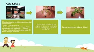 Cara Kerja 2 
1.Masukan deterjen ke dalam toples yang akan 
diisi tumbuhan 
- Toples 1 : berisi air bersih 
- Toples 2 : berisi air detergen dengan kadar 
air detergen 20ml deterjen ¼ sendok 
- Toples 3 : berisi air feterjen dengn kadar 20 
ml dan deterjen ¾ sendok 
2.Masukan air limbah ke 
dalam toples dan masukan 
tumbuhan 
3Amati tumbuhan selama 3 hari 
 