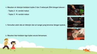 4. Masukan air deterjen kedalam toples 2 dan 3 sebanyak 20ml dengan takaran : 
- Toples 2 : ¼ sendok makan 
- Toples 3 : ¾ sendok makan 
5. Kemudian aduk rata air deterjen dan air sungai yang tercemar dengan spatula. 
6. Masukan ikan kedalam tiga toples secara bersamaan. 
 