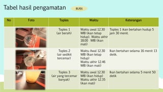 Tabel hasil pengamatan 
No Foto Toples Waktu Keterangan 
Toples 1 
(air bersih) 
Waktu awal 12.30 
WIB (ikan tetap 
hidup). Waktu akhir 
18.00 WIB (ikan 
mati) 
Toples 1 ikan bertahan hudup 5 
jam 30 menit. 
Toples 2 
(air sedikit 
tercemar) 
Waktu Awal 12.30 
WIB (Ikan tetap 
hidup) 
Waktu akhir 12.46 
WIB (ikan mati) 
Ikan bertahan selama 16 menit 13 
deitk. 
Toples 3 
(air yang tercemar 
banyak) 
Waktu awal 12.30 
WIB (ikan hidup) 
Waktu akhir 12.35 
(ikan mati) 
Ikan bertahan selama 5 menit 50 
detik 
IKAN 
 