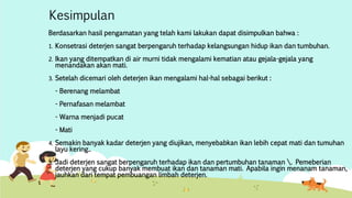 Kesimpulan 
Berdasarkan hasil pengamatan yang telah kami lakukan dapat disimpulkan bahwa : 
1. Konsetrasi deterjen sangat berpengaruh terhadap kelangsungan hidup ikan dan tumbuhan. 
2. Ikan yang ditempatkan di air murni tidak mengalami kematian atau gejala-gejala yang 
menandakan akan mati. 
3. Setelah dicemari oleh deterjen ikan mengalami hal-hal sebagai berikut : 
- Berenang melambat 
- Pernafasan melambat 
- Warna menjadi pucat 
- Mati 
4. Semakin banyak kadar deterjen yang diujikan, menyebabkan ikan lebih cepat mati dan tumuhan 
layu kering.. 
5. Jadi deterjen sangat berpengaruh terhadap ikan dan pertumbuhan tanaman . Pemeberian 
deterjen yang cukup banyak membuat ikan dan tanaman mati. Apabila ingin menanam tanaman, 
jauhkan dari tempat pembuangan limbah deterjen. 
 
