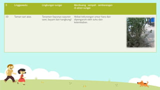 9 Linggawastu Lingkungan sungai Membuang sampah sembarangan 
di aliran sungai 
10 Taman sari atas Tanaman (layunya sayuran 
sawi, bayam dan kangkung) 
Akibat kekurangan unsur hara dan 
dipengaruhi oleh suhu dan 
kelembaban. 
 